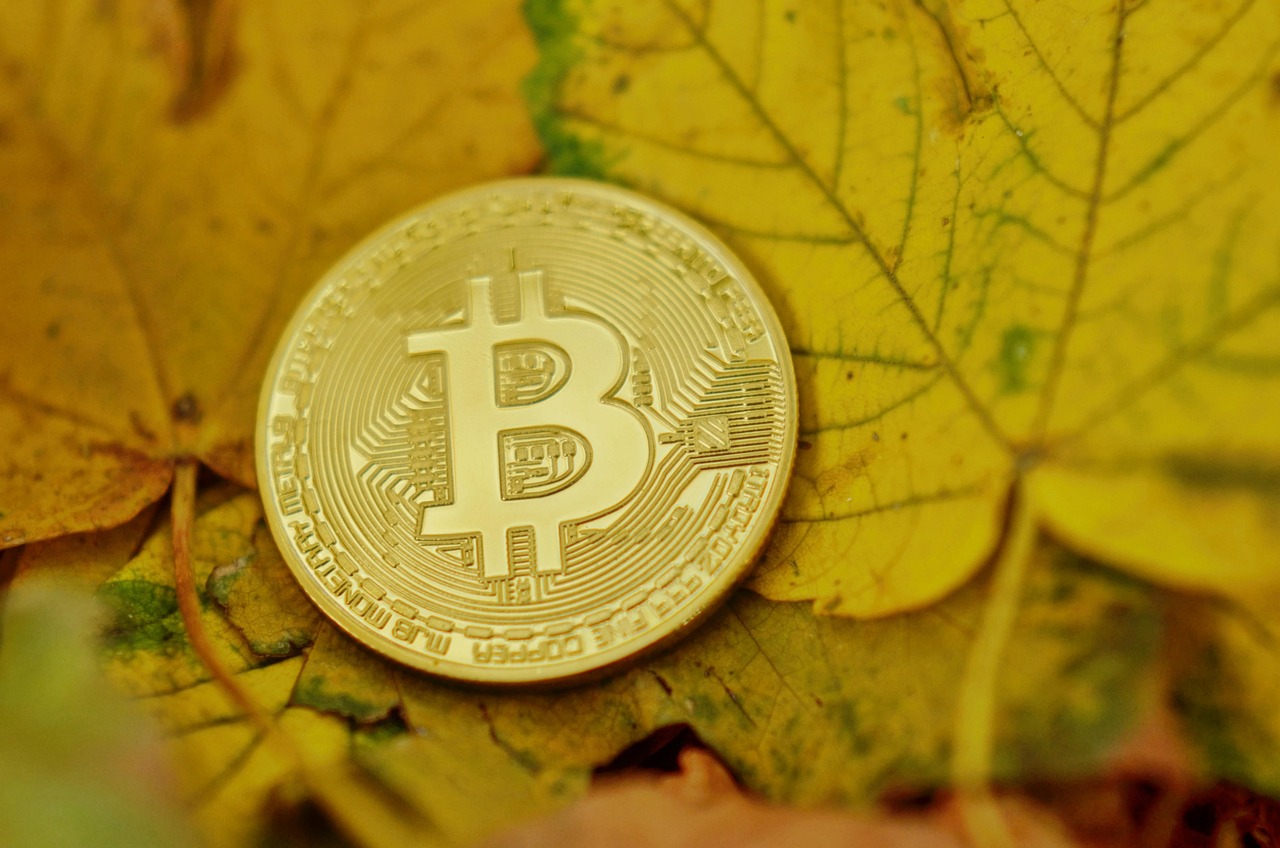 全美首档瑞波币ETF登场NYSE Arca！但现货ETF仍待核准